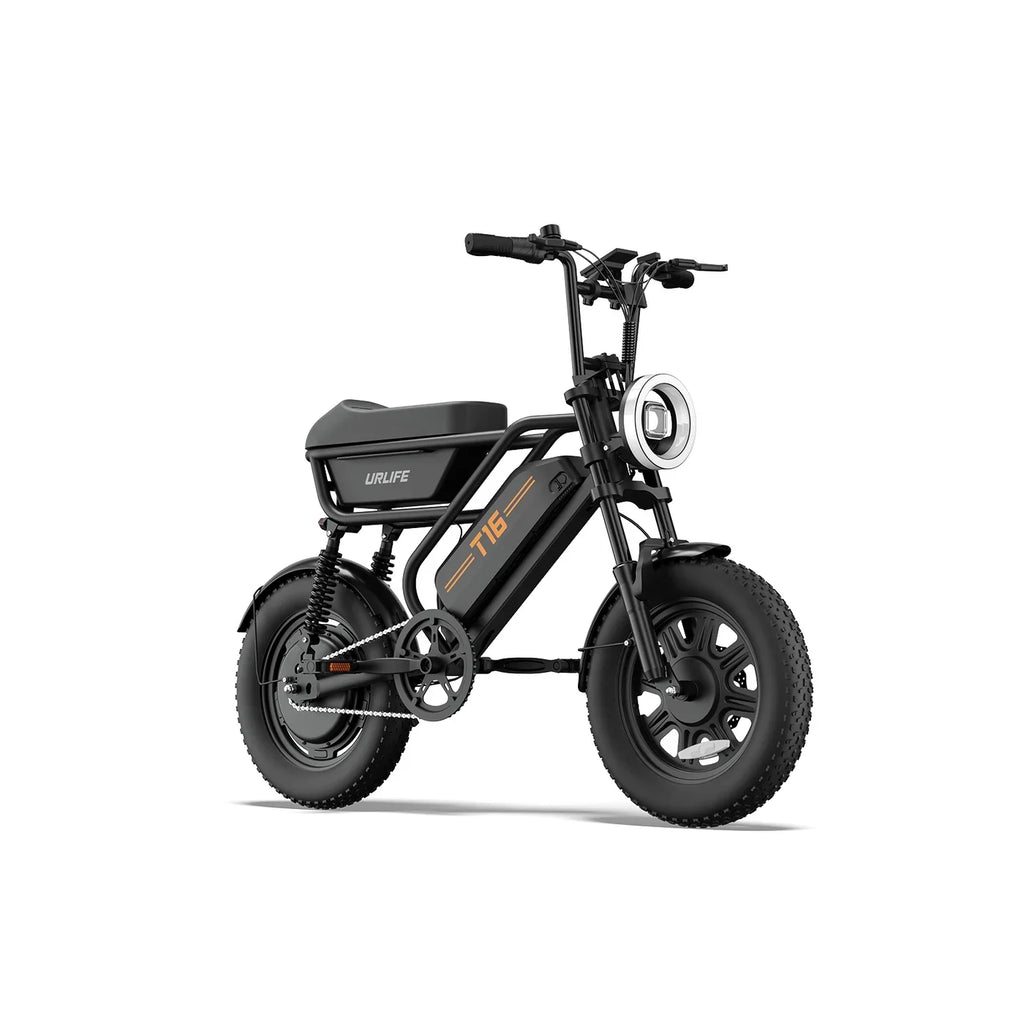 T16 Electric Bicycle, Fat Tyre, 25kmh, 250W Motor, 48V 13Ah Battery, Adult All-Terrain E-Bike