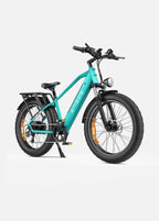 E26 Fat Tyre Electric Bike 250W 70Nm Torque Max Speed 25 km/h 140km Range Dual Suspension All-Terrain Ebike