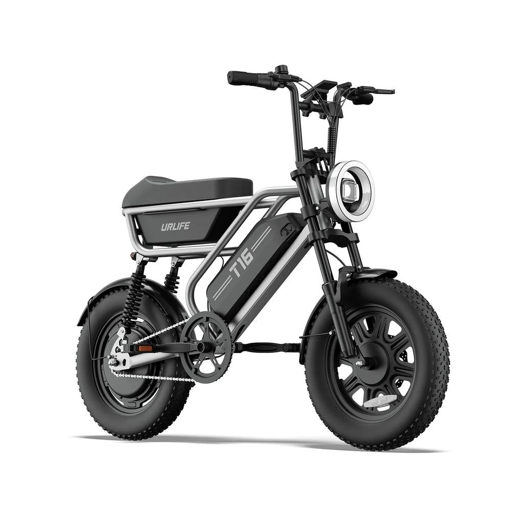 T16 Electric Bicycle, Fat Tyre, 25kmh, 250W Motor, 48V 13Ah Battery, Adult All-Terrain E-Bike