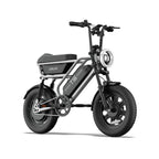 T16 Electric Bicycle, Fat Tyre, 25kmh, 250W Motor, 48V 13Ah Battery, Adult All-Terrain E-Bike
