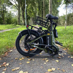 L20 SE 250W 20" Foldable Electric Trekking Bike 561Wh Step-through E-bike