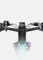 E26 Fat Tyre Electric Bike 250W 70Nm Torque Max Speed 25 km/h 140km Range Dual Suspension All-Terrain Ebike