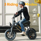 T16 Electric Bicycle, Fat Tyre, 25kmh, 250W Motor, 48V 13Ah Battery, Adult All-Terrain E-Bike