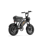 T16 Electric Bicycle, Fat Tyre, 25kmh, 250W Motor, 48V 13Ah Battery, Adult All-Terrain E-Bike
