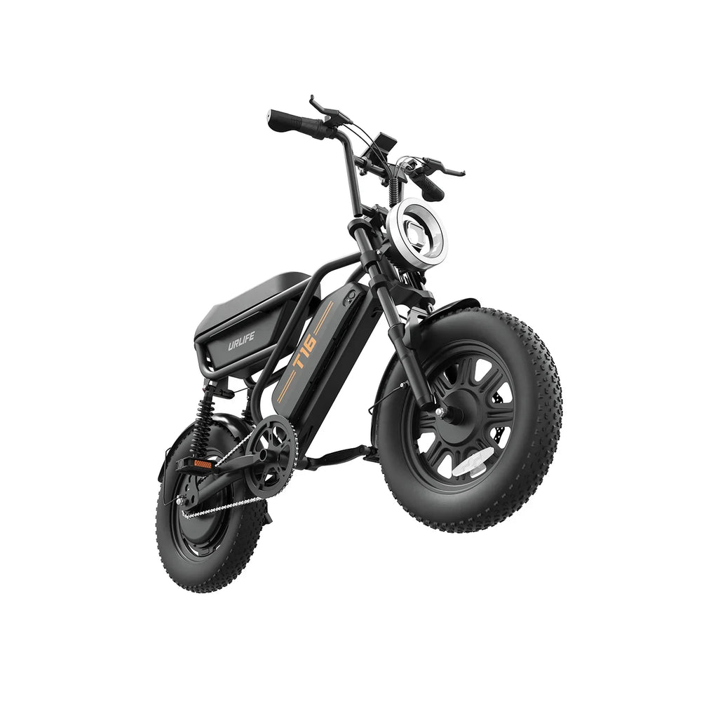 T16 Electric Bicycle, Fat Tyre, 25kmh, 250W Motor, 48V 13Ah Battery, Adult All-Terrain E-Bike