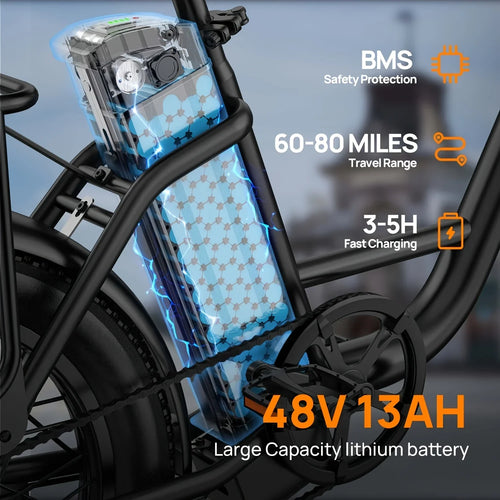 E20 adult 20' E-bike 25kmh 250W 48V 13Ah battery commute Electric Bike, Fat Tire city Ebike 7 Speed