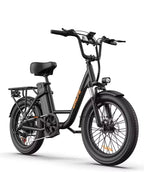 E20 adult 20' E-bike 25kmh 250W 48V 13Ah battery commute Electric Bike, Fat Tire city Ebike 7 Speed