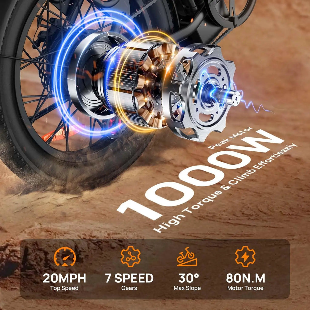 E20 adult 20' E-bike 25kmh 250W 48V 13Ah battery commute Electric Bike, Fat Tire city Ebike 7 Speed