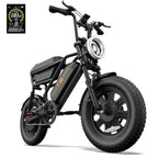 T16 Electric Bicycle, Fat Tyre, 25kmh, 250W Motor, 48V 13Ah Battery, Adult All-Terrain E-Bike