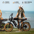 T2 Electric Bike, 20 Inch Fat Tyre, 250W Motor, 48V 15.6Ah Removable Battery, Adult All-Terrain E-Bike