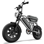 T16 Electric Bicycle, Fat Tyre, 25kmh, 250W Motor, 48V 13Ah Battery, Adult All-Terrain E-Bike